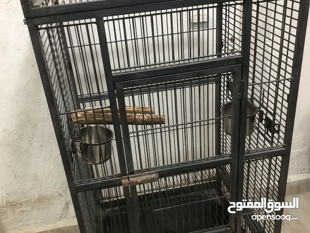 للبيع قفص كبير يصلح مكاو كاسكو امزون مستعمل