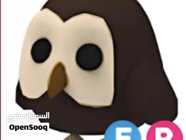 للبيع حيوانات ادوبت مي غراب وبومه يركب ويطير