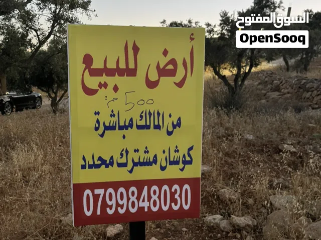 Farm Land for Sale in Zarqa Um Rummanah