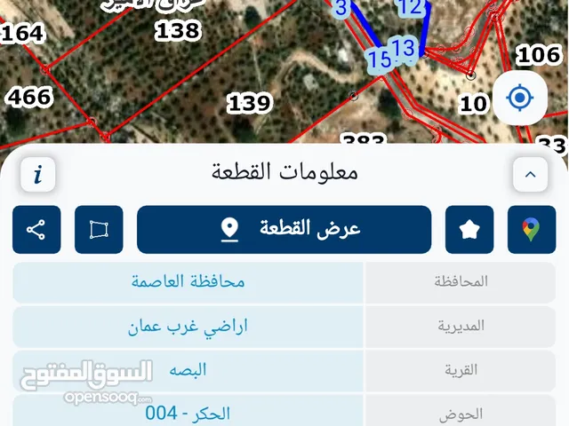 مزرعة زيتون وتين للبيع