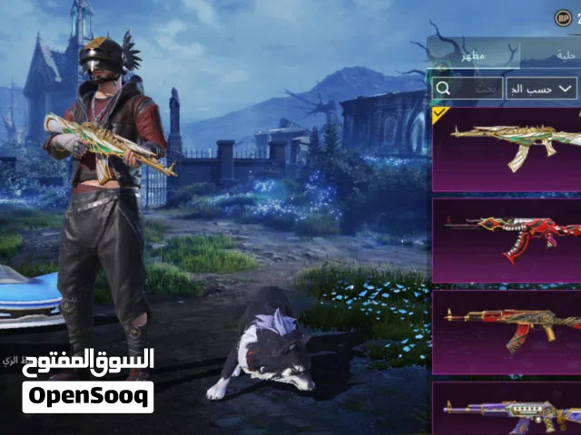 Pubg Accounts and Characters for Sale in Zarqa