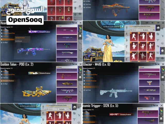 Pubg Accounts and Characters for Sale in Al Batinah