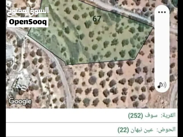 Farm Land for Sale in Jerash Soof