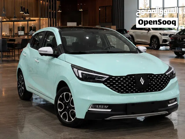 2026 جاي ام اي في EV3