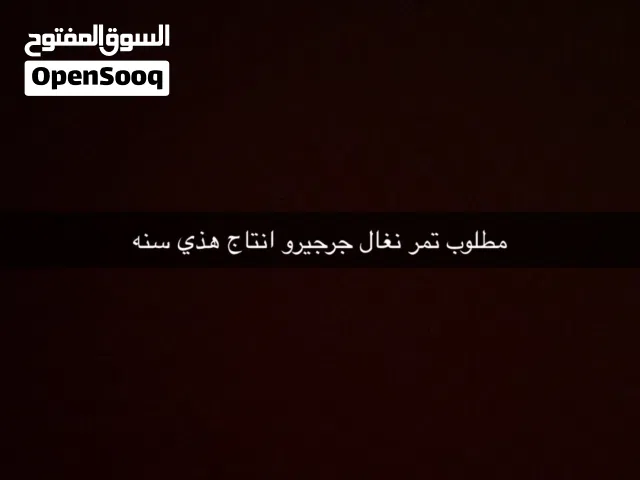 مطلوب تمر نغال