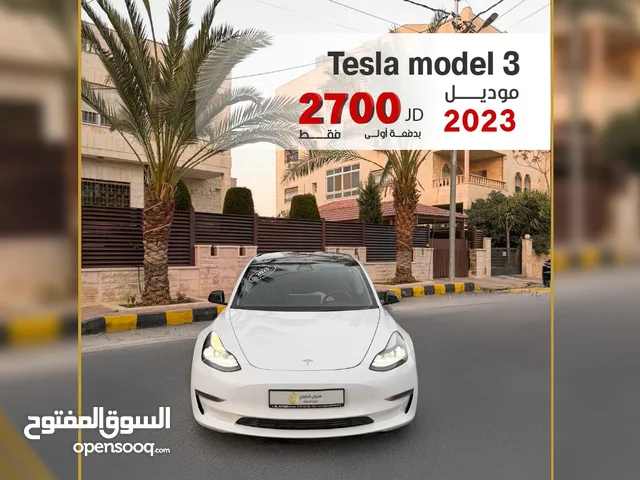 2023, تيسلا, موديل 3, Standard Plus