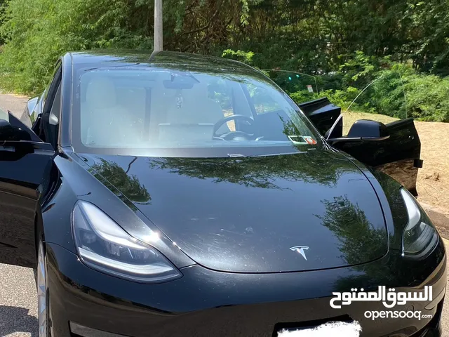 تيسلا 2021 دول موتر