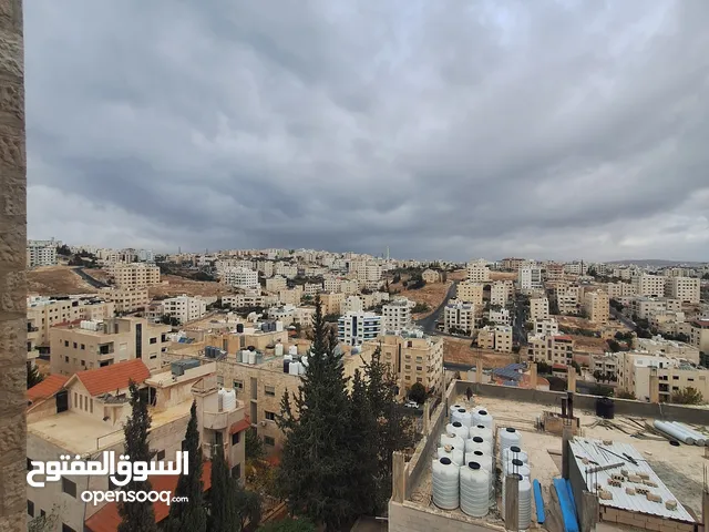 من المالك شقة ستوديو روف للايجار السنوي، مصعد متوفر