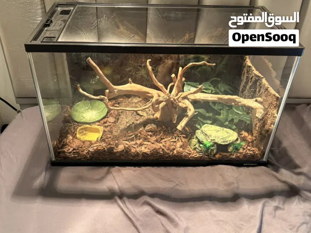 حوض زواحف مجهز بالكامل