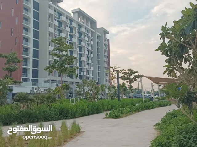 550 ft 1 Bedroom Apartments for Rent in Dubai Mohammad Bin Rashid City
