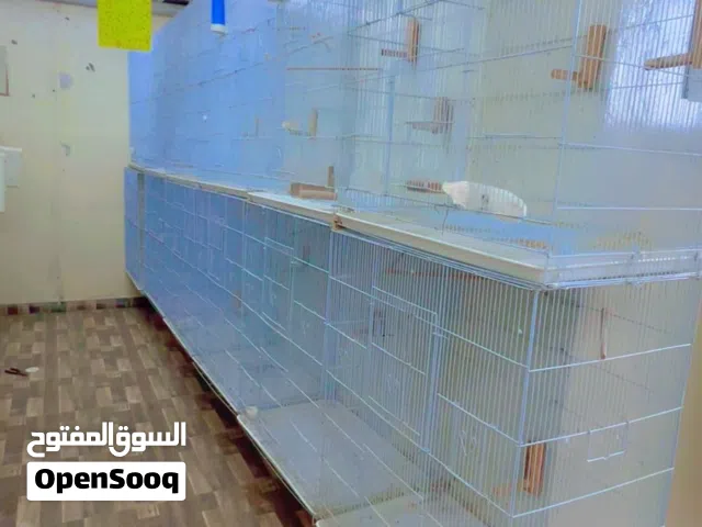 أقفاص دبل شبه جديده