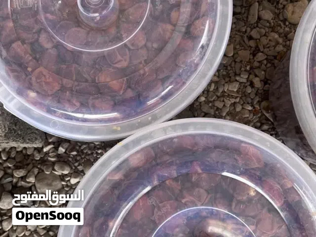 تمر خلاص للبيع (سح)