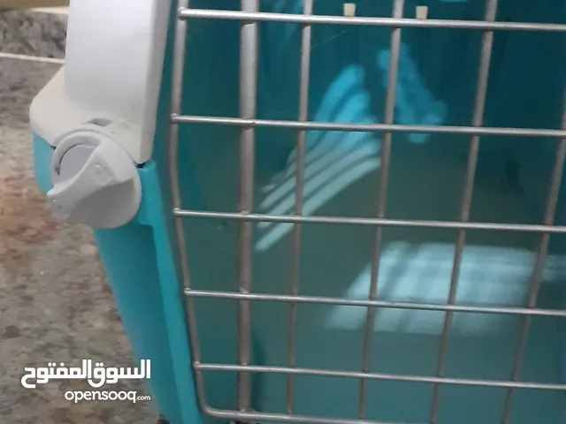 بيت قطط للبيع