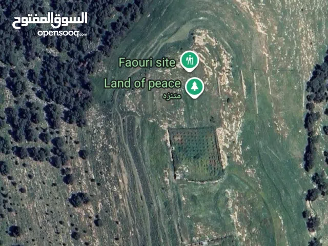 Farm Land for Sale in Amman Umm A-Dananir
