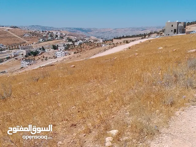 Residential Land for Sale in Zarqa Um Rummanah