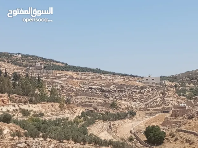 Farm Land for Sale in Amman Naour