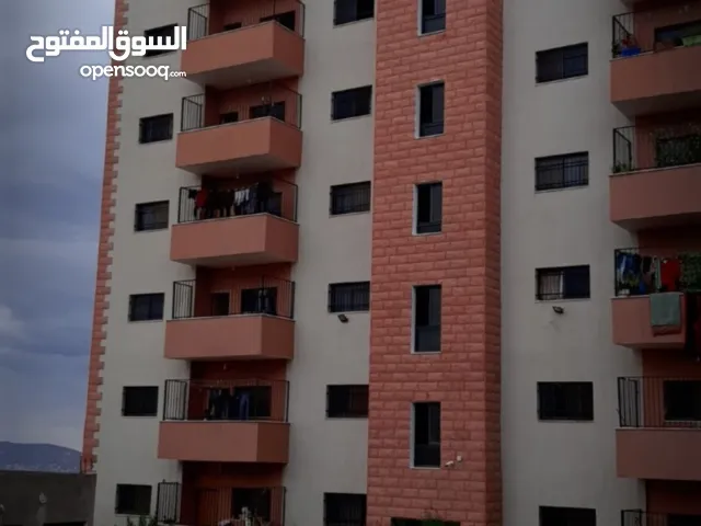 اسكان الناصر