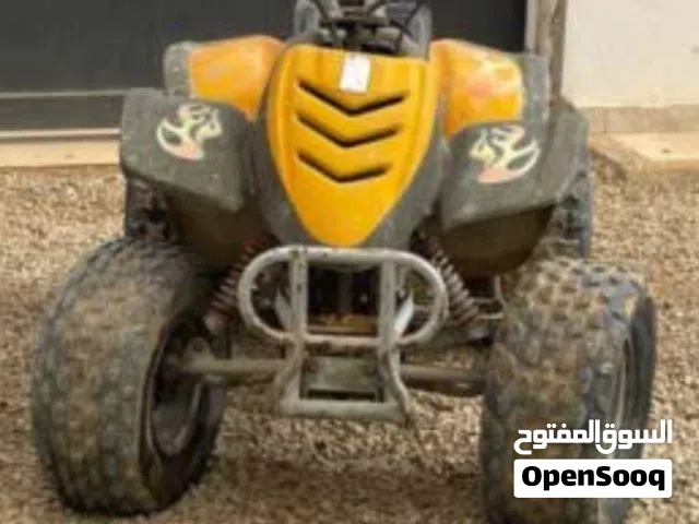 2007 اخرى اخرى