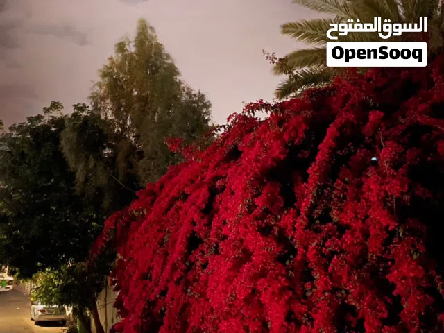 عماره مشفره للبيع بيت بوس