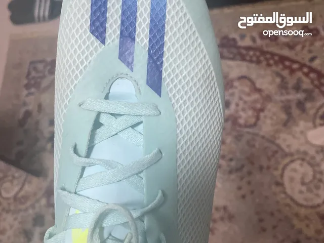 43 Sport Shoes in Ajman