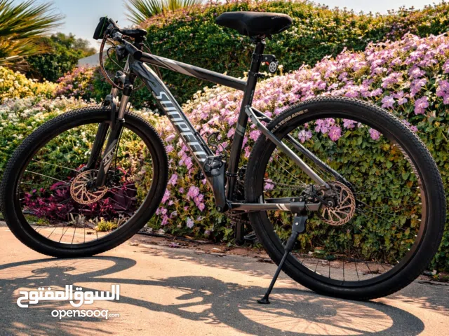 SUNPEED MOUNTAIN BIKE (29 INCH)