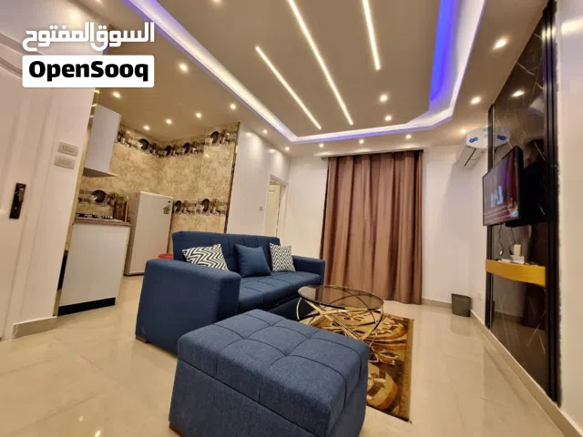 100 m2 Studio Apartments for Rent in Cairo Nasr City
