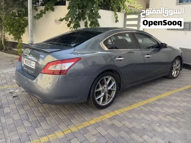 Nissan Maxima 2011 v6 3.5– Good Condition