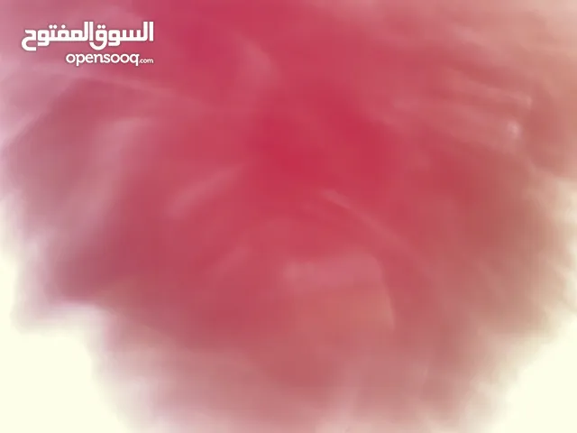 قولف 4 محرك 16sr