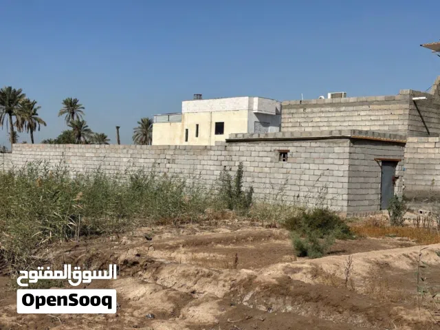 5 Bedrooms Farms for Sale in Basra Abu Al-Khaseeb