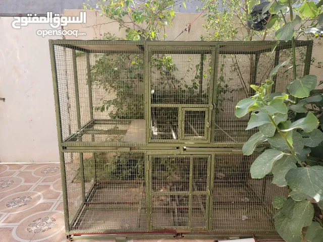 قفص حديد طابقين طول 155 العرض 180