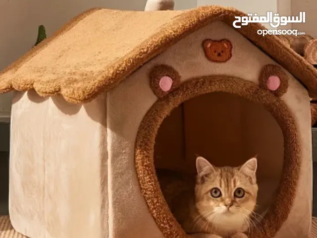 بيت قطط جميل وجديد وسرير للقطط والكلاب مريح ودافئ مناسب لجميع الفصول وممتاز لفصل الشتاء