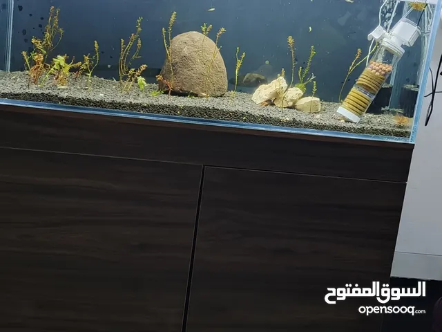 حوض فارغ تماما مع خزانه السبب البيع بدي اكبر