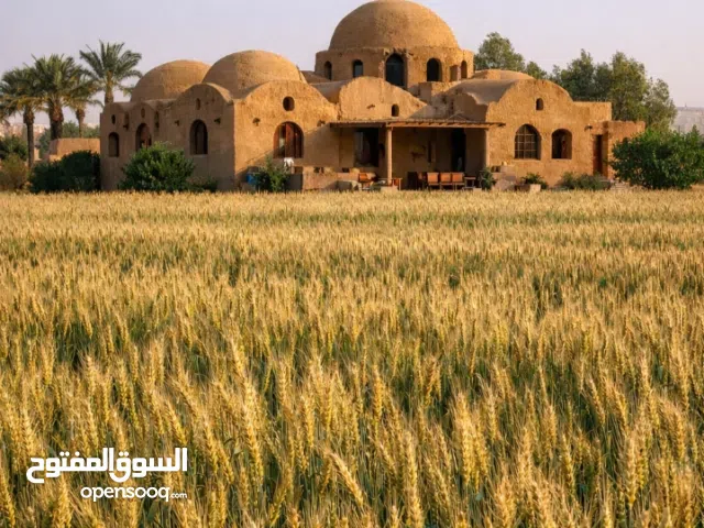 ارض زراعيه للبيع