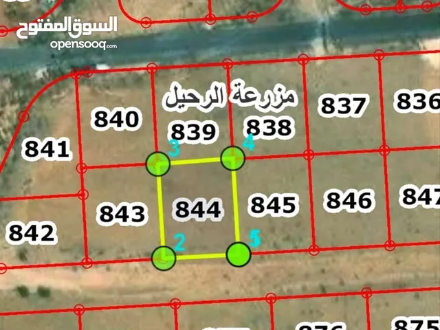 Mixed Use Land for Sale in Zarqa Al-Bustan