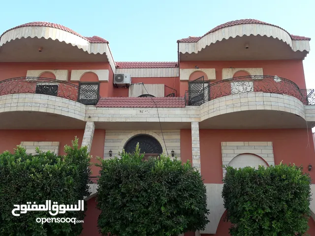 سنتافيا لونق