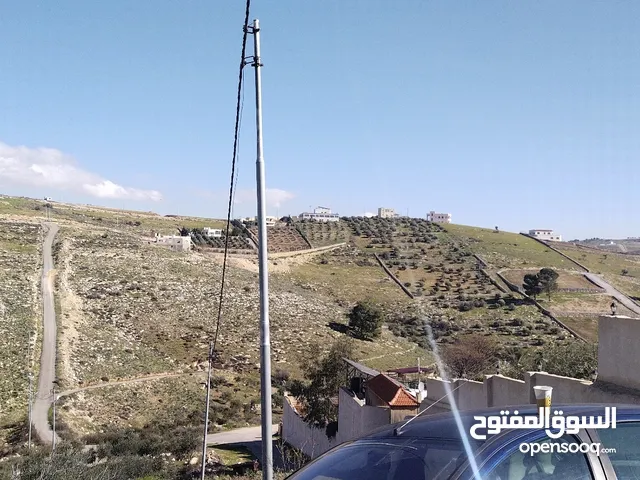 Farm Land for Sale in Zarqa Um Rummanah