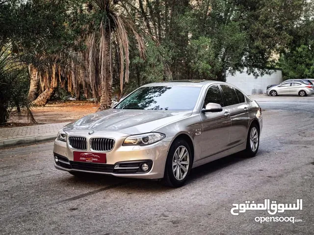 BMW 52OI MODEL 2016 WELL MAINTAINED CAR FOR SALE