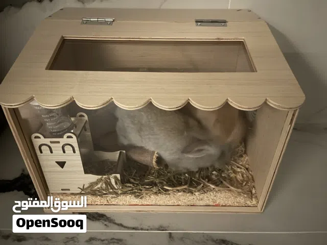 Wooden Pet Habitat with Ventilation