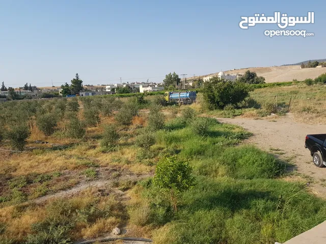 2 Bedrooms Farms for Sale in Irbid Tabaqet Fahel