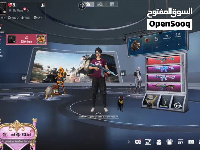 حساب ببجي العالمين للبيع فقط