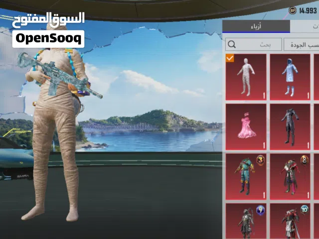 Pubg Accounts and Characters for Sale in Homs