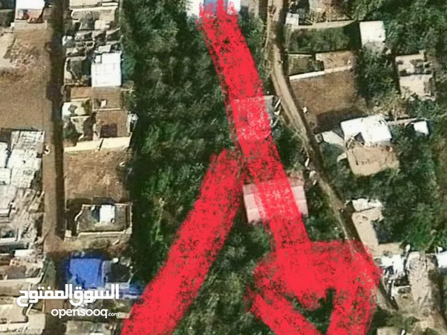 ارض للبيع زراعي