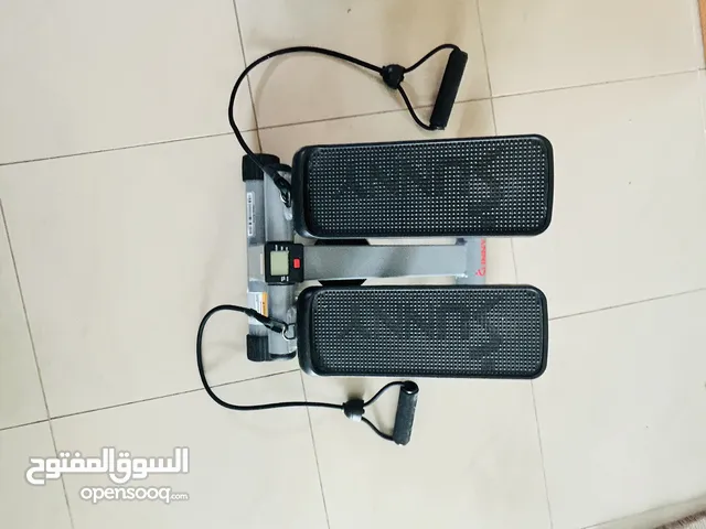 Sunny Health & Fitness Mini Stepper with Resistance Bands