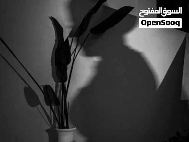 مصور اعراس