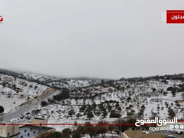 200 m2 3 Bedrooms Apartments for Rent in Ajloun A'anjara