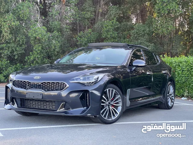 كيا ستنجر 2019 وارد فول اوبشن 4سلندر بحاله ممتازه