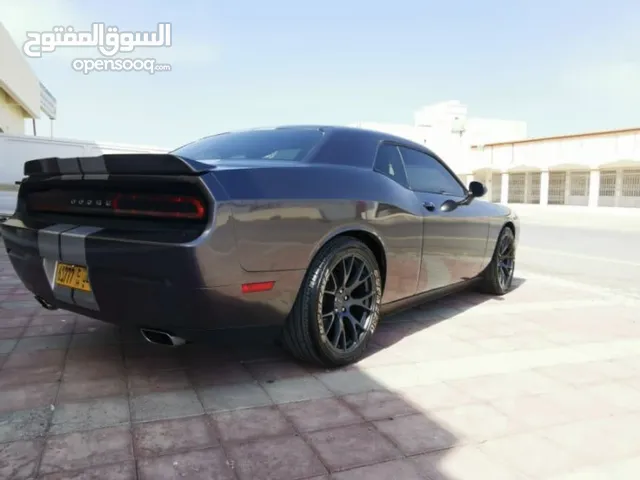 Dodge Challenger 2013 in Muscat