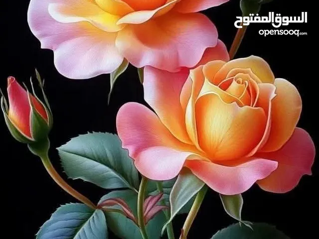 تعليم محاسبة وضرائب لغير المحاسبين . لو انت مهندس او دكتور او محامى او تاجر او صاحب مشروع خاص