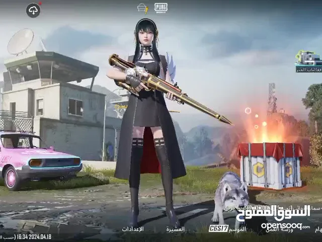 Pubg Accounts and Characters for Sale in Amman