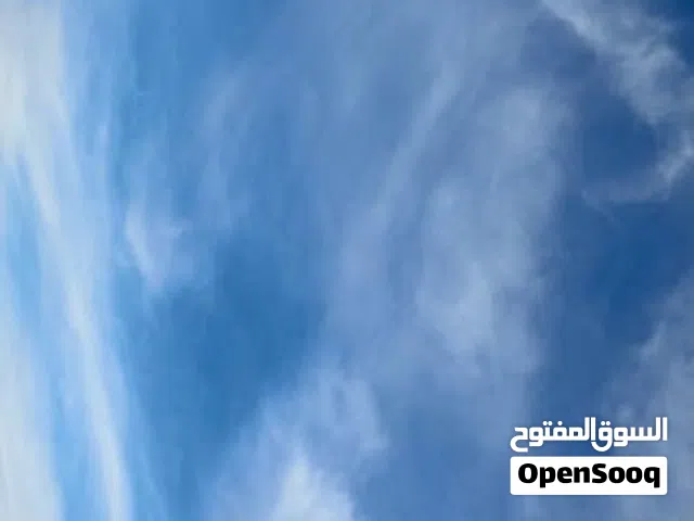 مطلوب شقة للايجار في الجويدة أو الياسمين أو الذراع غرفتين نوم وصاله وحمام ومطبخ